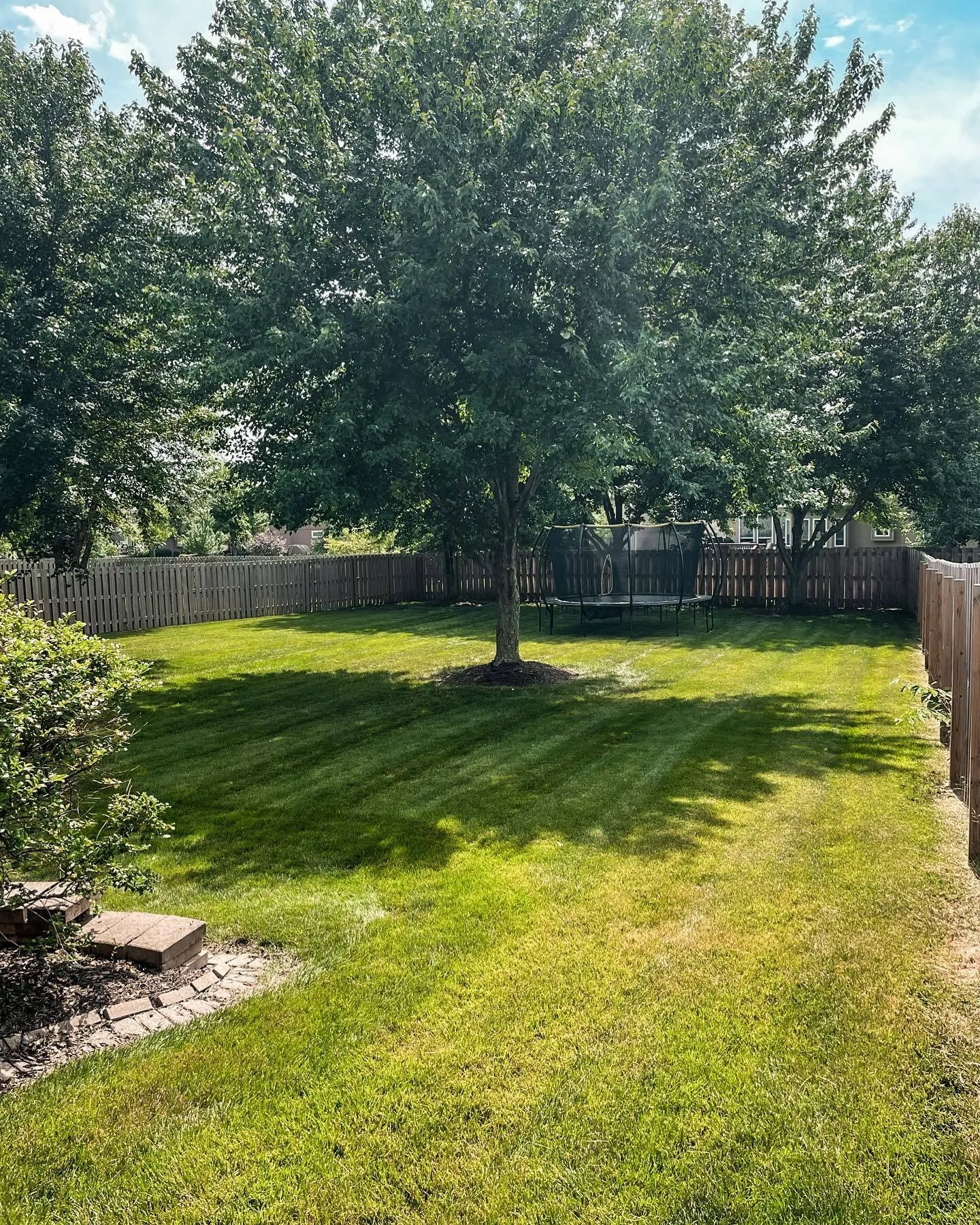 Backyard lawn with professional stripes around trees in KC Northland