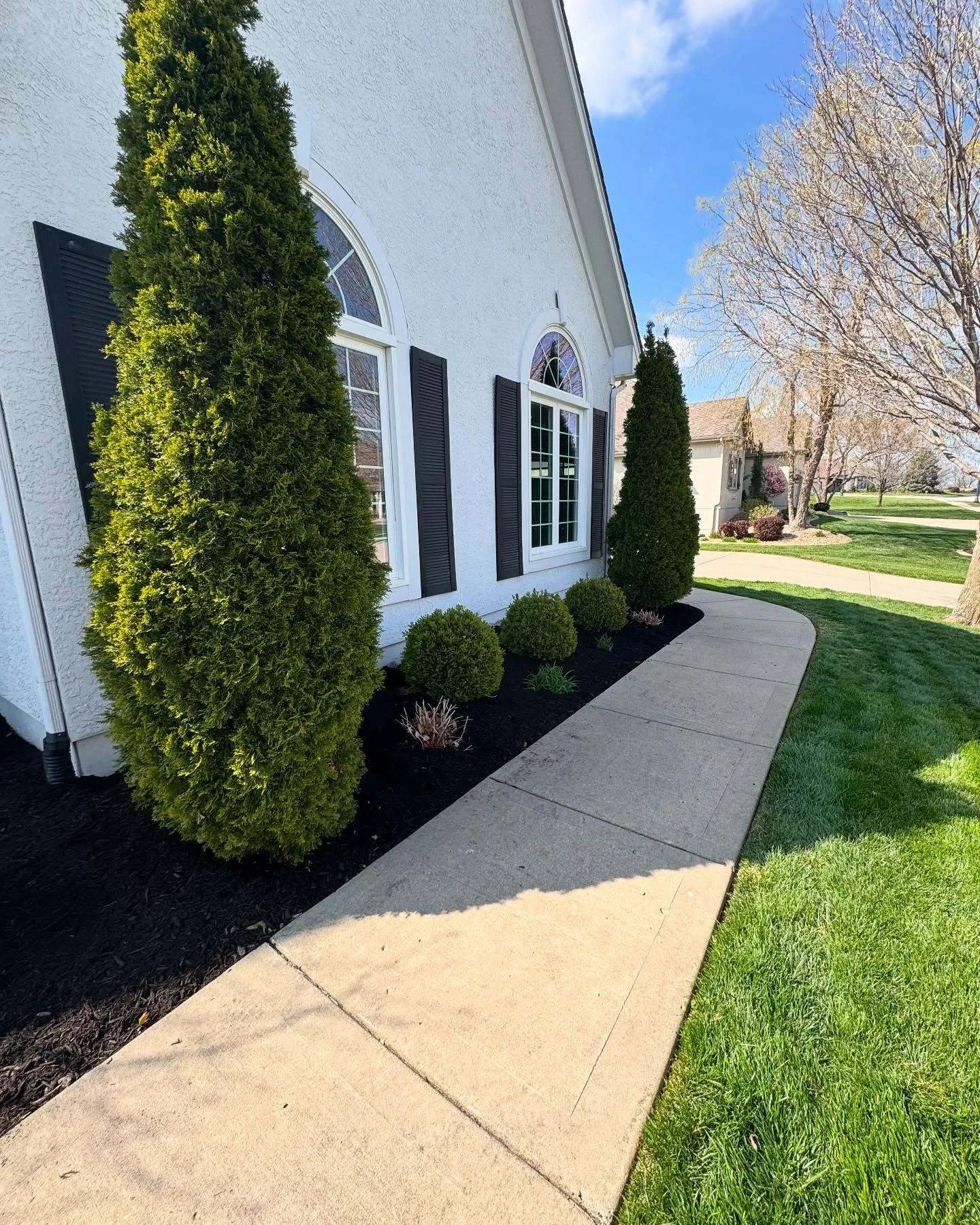 Landscape bed with fresh mulch around established plantings
