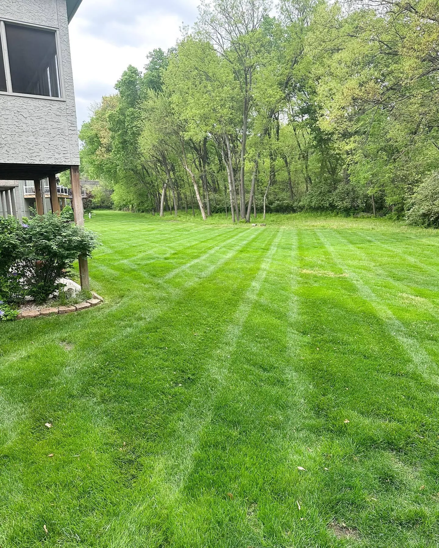 Residential lawn with professional striping pattern in Kansas City