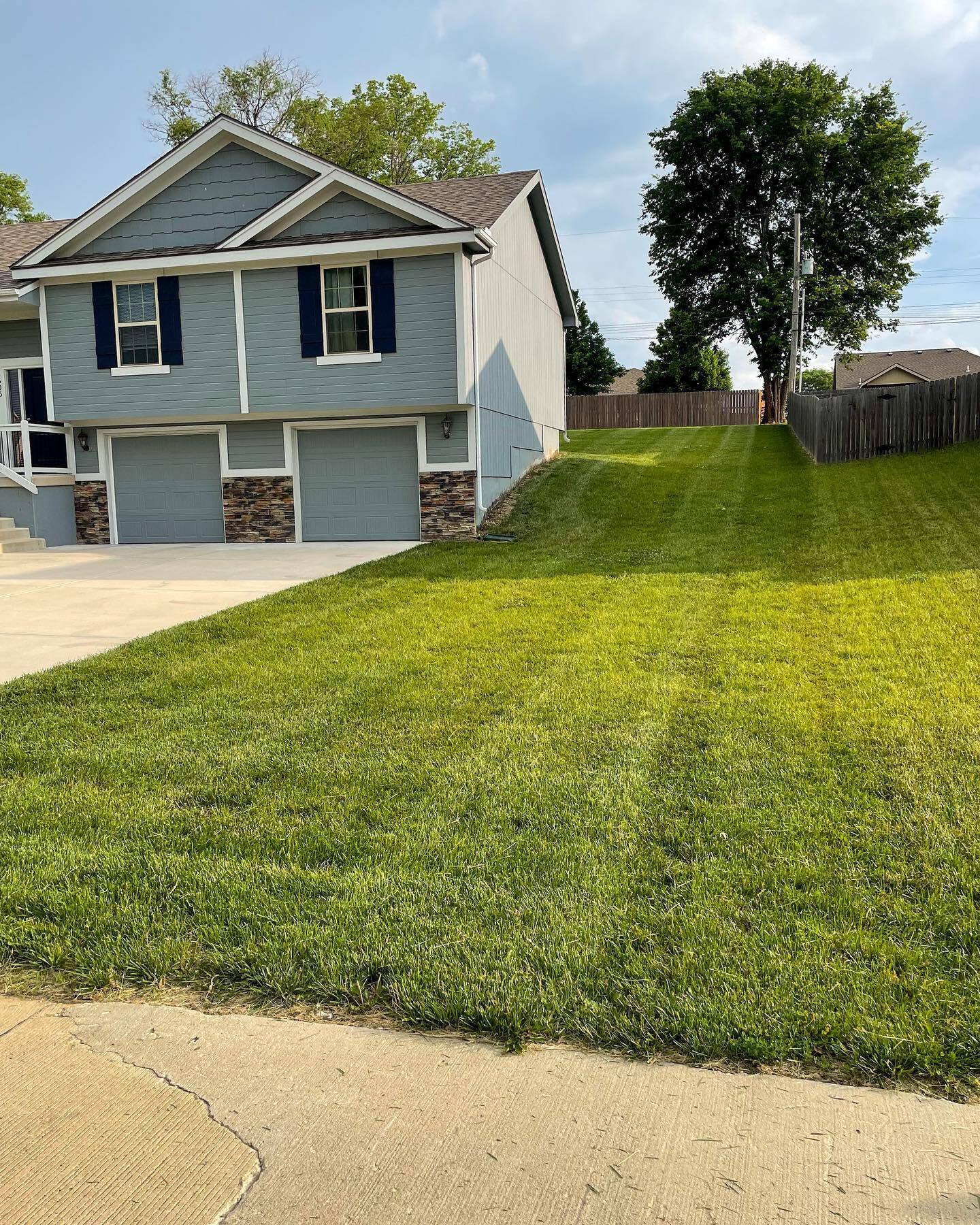 Lawn before mowing service