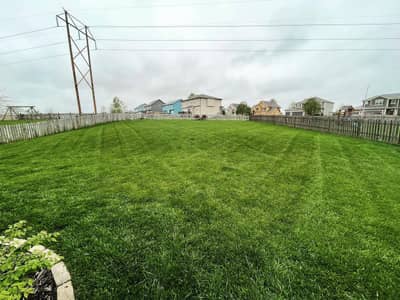 Thick lawn in fenced yard