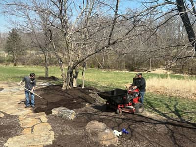 Professional landscape maintenance team at work