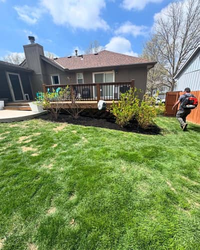 Well-maintained lawn with mulch beds