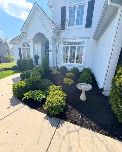 Front yard with mulch beds and shrubbery