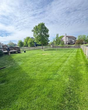 Freshly mowed lawn