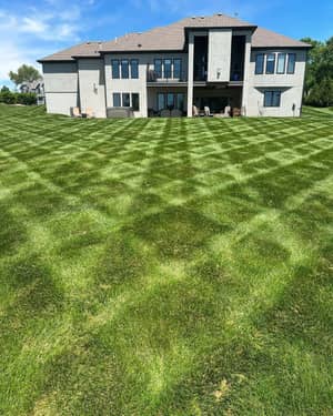 Crosshatch pattern on large lawn