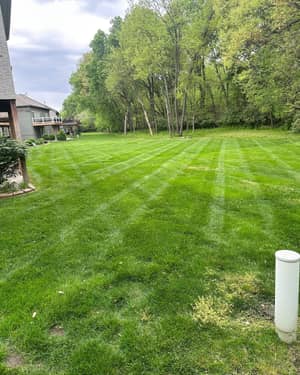 Professional lawn stripes