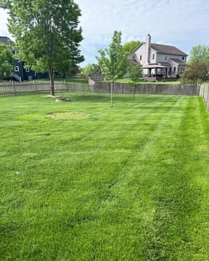 Professional lawn striping