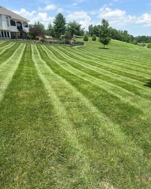 Striped lawn residential