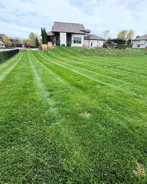Striped lawn